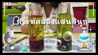 วิทยาศาสตร์พาเพลิน เรื่อง การทดลอง LAVA LAMP ระดับปฐมวัย