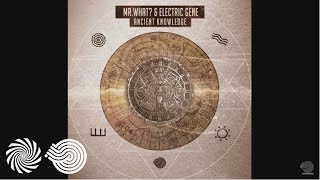 Mr.What? - Tribalingua (Electric Gene Remix)