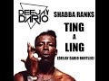 Shabba Ranks - Ting a Ling (Deejay Dario RE-FIX) DEEJAY DARIO