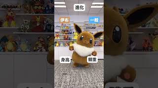 關於伊布、你知道多少呢？ #Pokémon #寶可夢 #寶可夢官方 #Shorts