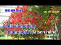 karaoke bài ca tết cho em tone nam trầm d trần lâm