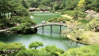 Ritsurin Park and Cherry Blossoms ( Kagawa, Japan )