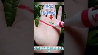 断掌纹，拼搏线