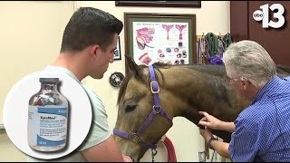 'Zombie drug' meant for horses is an increasing concern in Southern Nevada