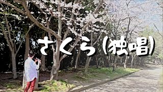 【篠笛】さくら（独唱）/ 森山直太朗 / 篠笛6本調子