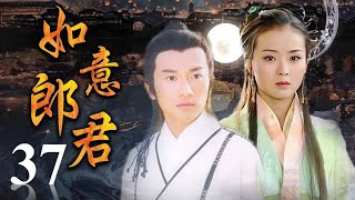 《如意郎君》第37集 | 流落人间的公主与武功高强的少年县令从相遇到相爱的浪漫故事