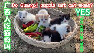 在中国猫肉是多少钱一斤？How much does cat meat cost in China? The answer is 28 yuan per catty