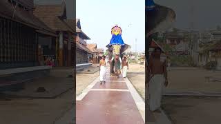 Mullakkal Chirappu Day 5 Prabhatha Sreebali #kerala #festival #elephant #video #nadaswaram