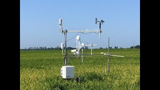 Improving Water Conservation on Rice Fields