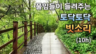 산책길에서 들리는 기분좋은 빗소리ㅣ10분후 어두운 화면