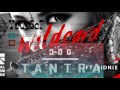 wildcard vs tantra kshmr vs jdg kshmr mashup amf 16