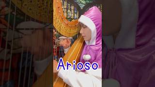 アリオーソ/Arioso #弾いてみた #アイリッシュハープ #ハープ王子 #ハープ #harp #クリスマス #グランドハープ #バッハ #バロック