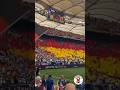 COREO 🇩🇪| EURO 2024 🇪🇺🏆 | 19/06/24 |COREO Germany Fans in MHP Arena for match against Hungary!