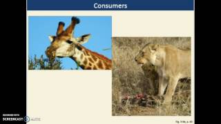 APES - Chapter 3 Lecture 1