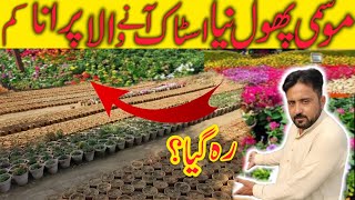 Cheapest Nursery in karachi | Best Nursery in Karachi | Biggest Flower 🌸 plant 🌱 Nursery in Karachi