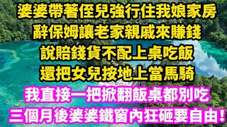 婆婆帶著侄兒強行住我娘家房，辭保姆讓老家親戚來賺錢，說賠錢貨不配上桌吃飯，還把女兒按地上當馬騎，我直接一把掀翻飯桌都別吃，三個月後婆婆鐵窗內狂砸要自由！