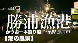 勝浦漁港【港の風景】かつお一本釣り船入港 2019年6月