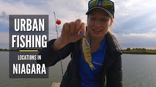 Binbrook Conservation Area, Binbrook | Urban Fishing Locations in Niagara