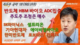 HBM 반도체 ADC바이오 주도 최선호주