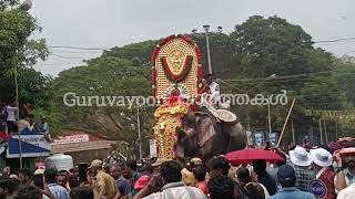 ഒടുവിൽ ആനകളുടെ രാജാവ് കളത്തിൽ ഇറങ്ങി... തൃശൂർ പൂരം ആരവങ്ങൾക്ക് ഇടയിലൂടെ ഗജവീരൻ തെച്ചിക്കോട്ട്കാവ്