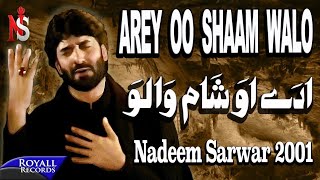 Arey Woh Shaam Walon/Nadeem Sarwar/Purdard Noha lyrics/ @plv786/Haaye Bibi Sakina/Imam Hussain