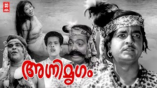 Agnimrigam Malayalam Full Movie | Prem Nazir | Sheela | Sathyan | Malayalam Old Movies