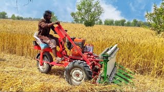 Mini Tractor Reaper Machine | 3 wheel Harvesting fodder Cutter Technology | Wheat cutting