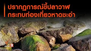 ปรากฏการณ์ขี้ปลาวาฬกระทบท่องเที่ยวหาดชะอำ (23 ธ.ค. 62)