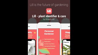 BEST PLANT IDENTIFICATION APP - Lill App! Free to use!