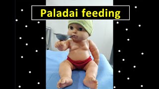 Paladai | Feeding low birth weight and preterm babies | Expressed breast milk | Baby rocks!!