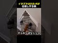 イタズラされた犬が仕返しする話