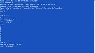 Playing with Python 3.8 assignment expressions