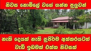 අක්කරයකට වැඩි ඉඩමක් එක්ක අංග සම්පුර්ණ නිවසක් | Valuable land with house for sale | PB Home