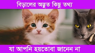 বিড়াল সম্পর্কে কিছু অদ্ভুত ও অজানা তথ্য জেনেনিন, যা আগে হয়তো শোনেননি