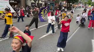 博多どんたく港祭りパレード 粕屋町どんたく隊