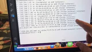 MAC Address Vendor Information REST API with Python (macvendorlookup.com)
