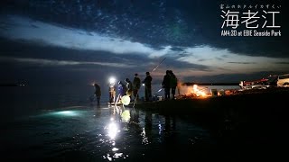 【字幕あり】新月の大潮にホタルイカすくい！Catching Firefly Squid