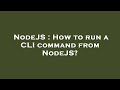 NodeJS : How to run a CLI command from NodeJS?