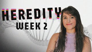 (CS50 AI) HEREDITY - PROJECT 2 | SOLUTION