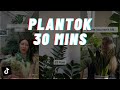 Planttok - Plant TikTok Compilation 🌱 30 mins of Planttok