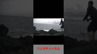 【地磯】イシダイ遠投している時のあたりかたあるある#shorts