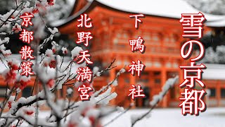 [京都散策] 雪の京都 下鴨神社  北野天満宮  梅と雪  snowy kyoto shimogamo shrine kitano tenmangu plum  kyoto  japan.mp4