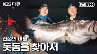 심해어종 최대어 ‘돗돔’ 전설의 대물을 만나기 위한 어부들의 치열한 현장 | 전설의 대물 돗돔을 찾아서 (KBS 080723 방송)