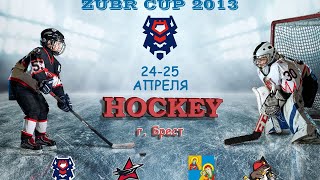 ZUBR-CUP 2013 / Шахтёр 1 - Брест 2