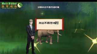 【受益一生***励志故事】让你感悟人生的故事｜热带雨林｜Rain Forest