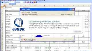 How to Utilize the Model Window in @RISK