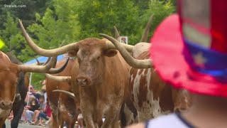 Thousands fill the streets to watch the Greeley Stampede Parade