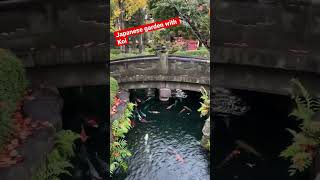 浅草寺　庭園　池と鯉　Japanese garden with koi at Sensoji