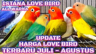 UPDATE HARGA LOVE BIRD TERBARU ✓JULI-AGUSTUS✓ SEMUA WARNA