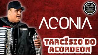 Agonia - Tarcísio do Acordeon